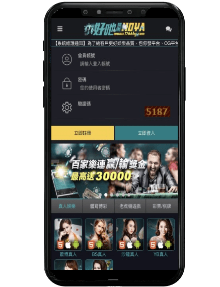 金濠娛樂城平台畫面